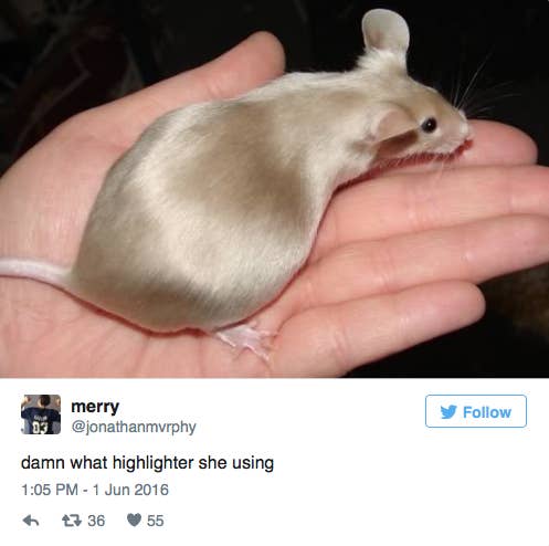 Funny Beauty Memes Online Makeup Pictures