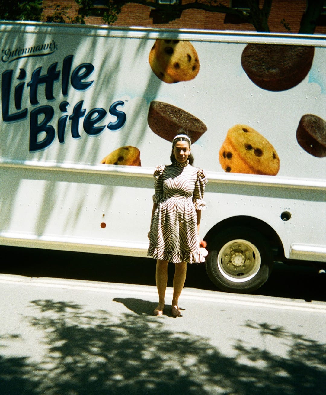 Batsheva + Zebra Met Dress