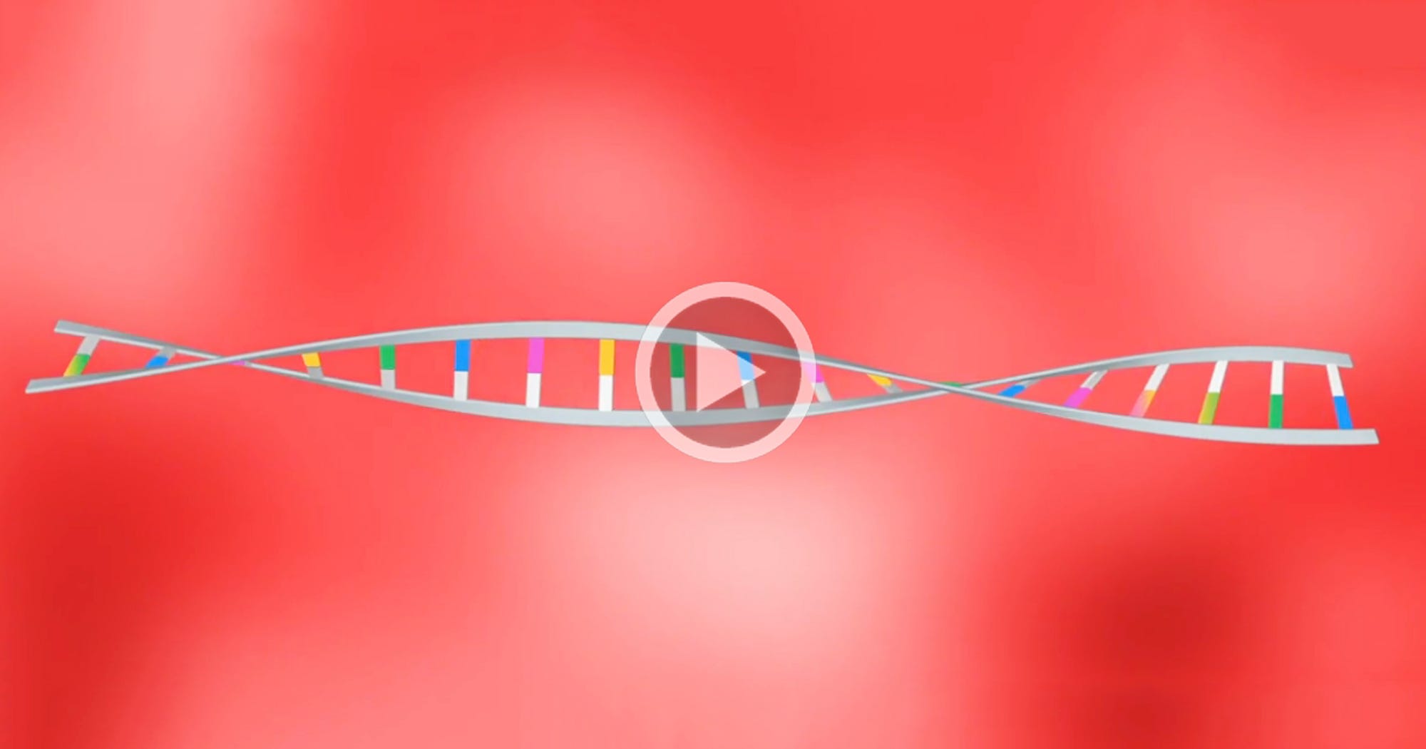 A Vegetarian Diet Changes Your