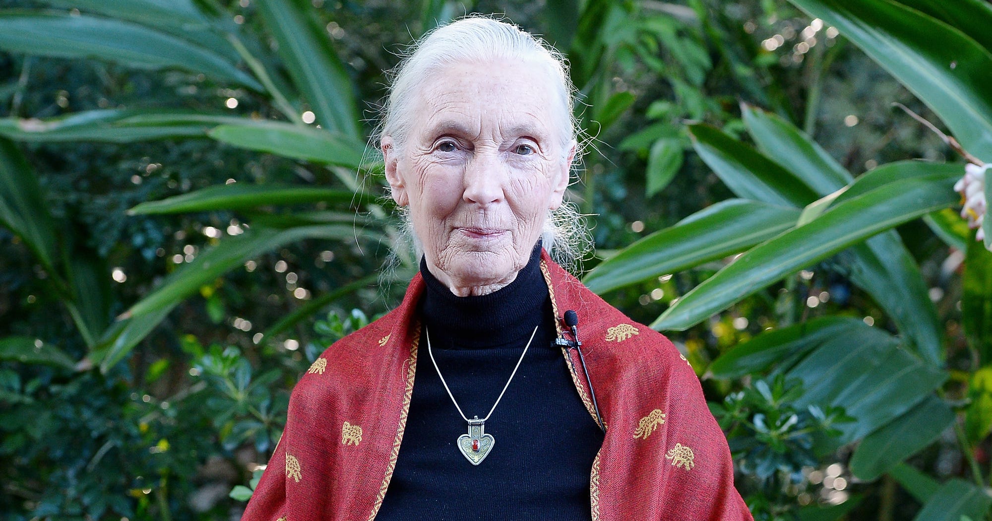 Jane Goodall Cincinnati Zoo Harambe Gorilla Killed