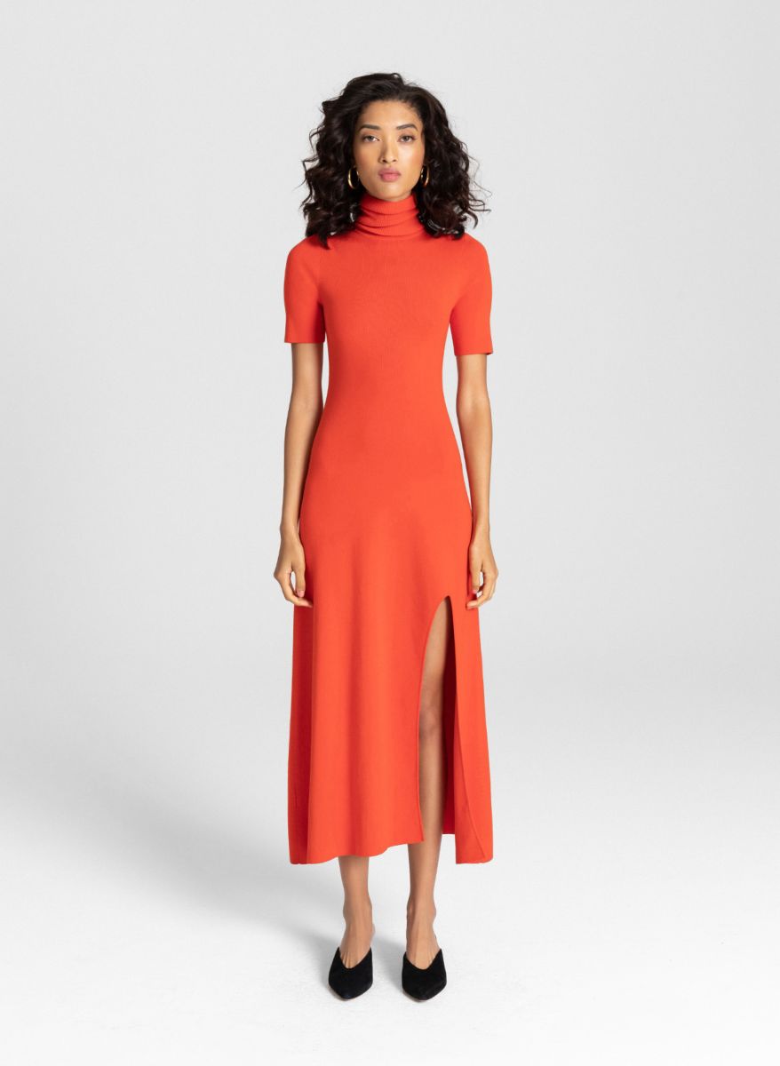 Cute Turtleneck Dress