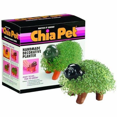 Chia Pets Are Back In Style For Millennial Plant Lovers